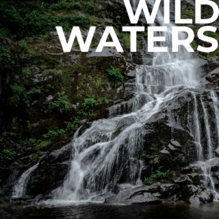 Wild Waters