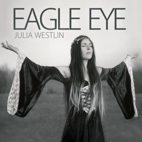 Eagle Eye | Boomplay Music