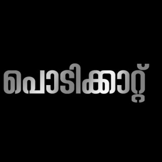 പൊടിക്കാറ്റ്