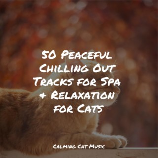 Music For Cats