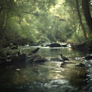 Binaural Meditation in Nature with Creek and Birds