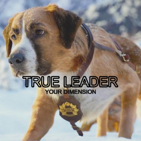 TRUE LEADER | Boomplay Music