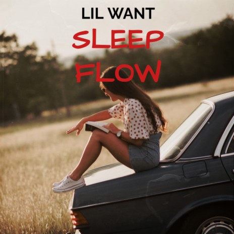 Sleep Flow ft. Lol Lid | Boomplay Music