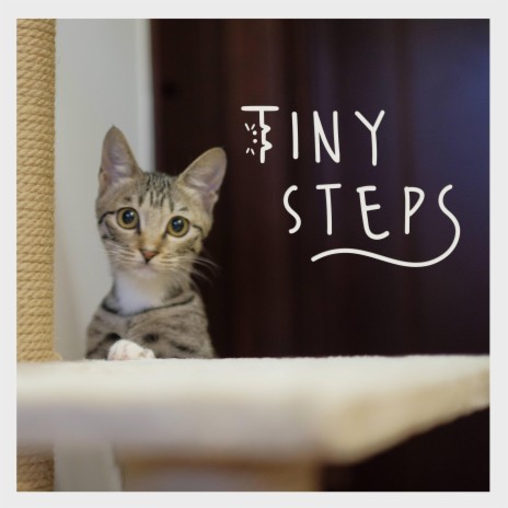 tiny steps | Boomplay Music