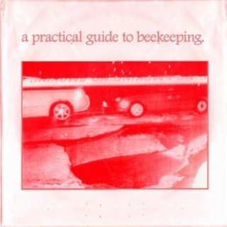 A Practical Guide to Beekeeping