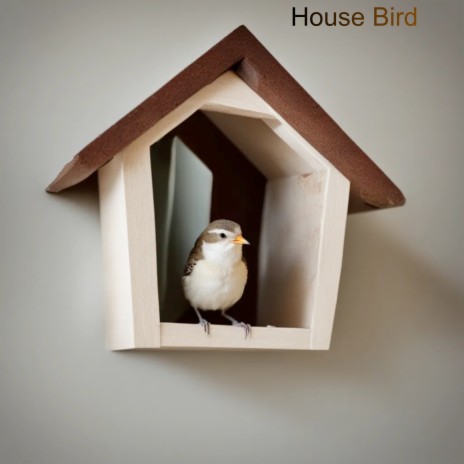 House Bird | Boomplay Music