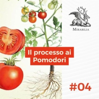 4. Il Processo ai Pomodori