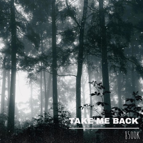 take me back | Boomplay Music