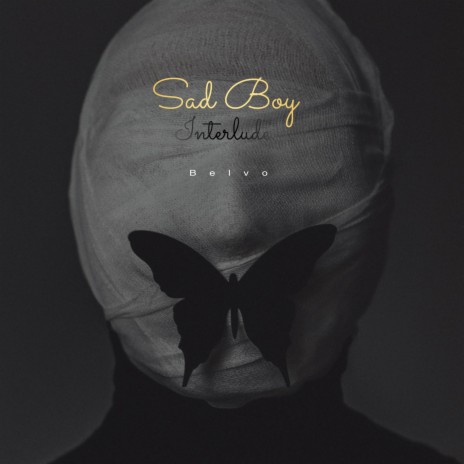 Sad Boy Interlude | Boomplay Music