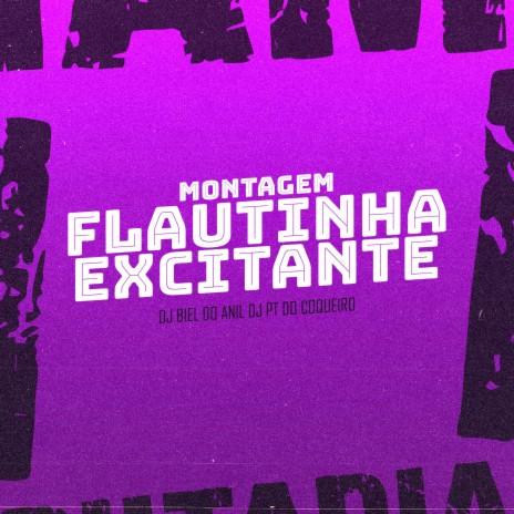 MONTAGEM FLAUTINHA EXCITANTE ft. Dj PT do Coqueiro | Boomplay Music