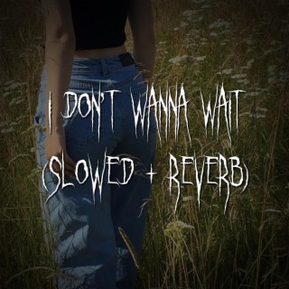 i don't wanna wait (slowed + reverb)