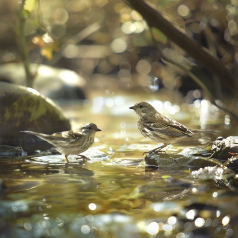Birds and Water’s Harmony in Focus ft. Nature Calm & Life Sync