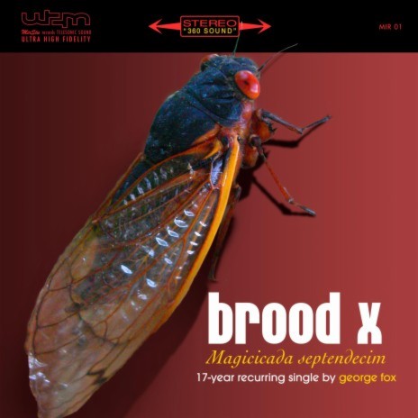 Brood X (Magicicada Septendecim) | Boomplay Music