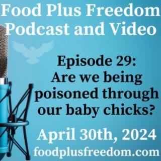 Episode 29: Are we being poisoned through our chicks?