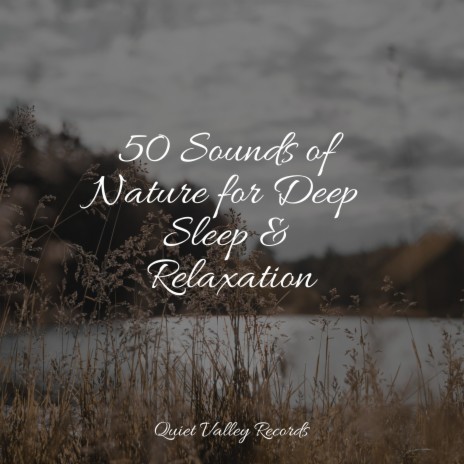 Spa Music ft. Deep Sleep FX & Sounds of Nature for Deep Sleep and Relaxation | Boomplay Music