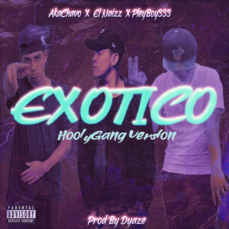 Exotico Hoolygang (feat. Akachavo & Pleyboy333) (Remix)