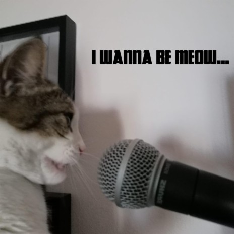I Wanna Be Meow... ft. Ylang