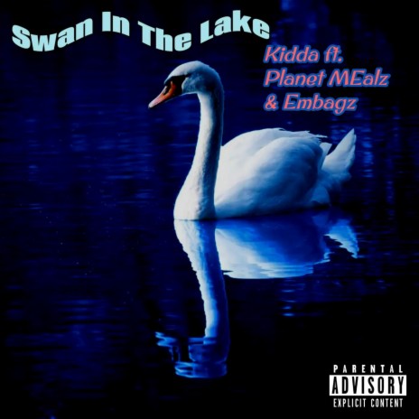 Swan In The Lake