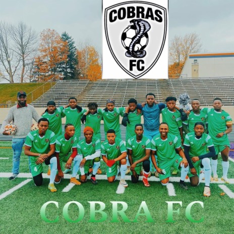 Cobra Fc | Boomplay Music