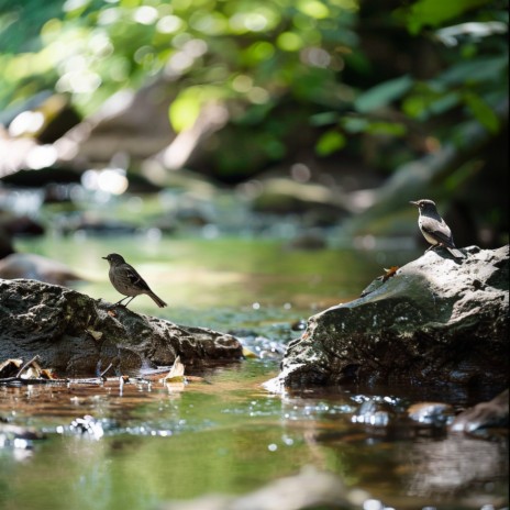 Birds Whispering Over Calming Waters ft. Calmiosure & La Shangri | Boomplay Music