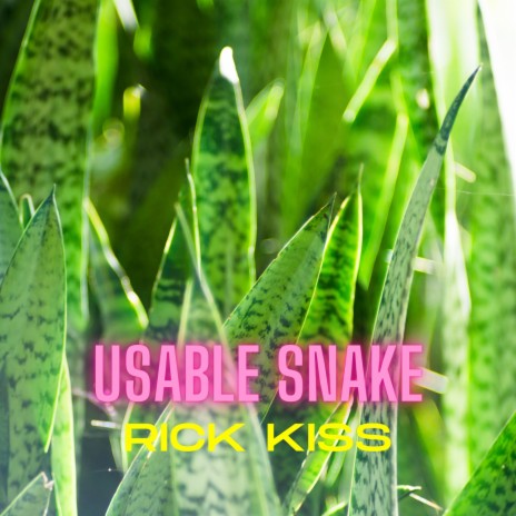 Usable Snake