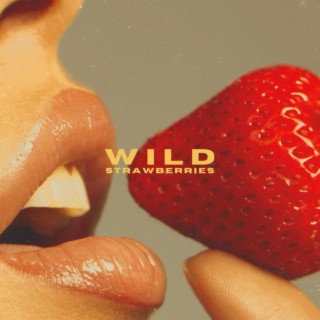 Wild Strawberries lyrics | Boomplay Music