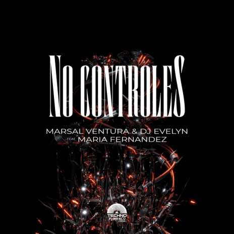 No Controles ft. DJ EVELYN & Maria Fernandez | Boomplay Music