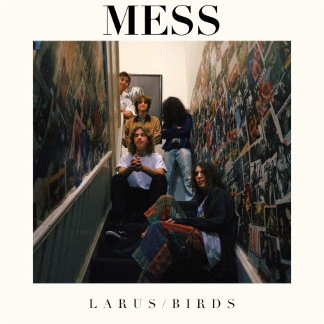 Larus | Boomplay Music