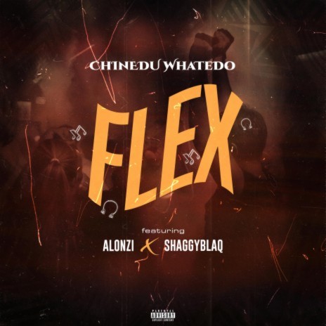 Flex ft. ALONZI & SHAGGYBLAQ | Boomplay Music
