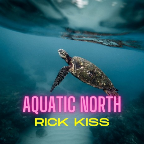 Aquatic North | Boomplay Music