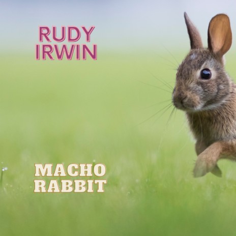 Macho Rabbit | Boomplay Music