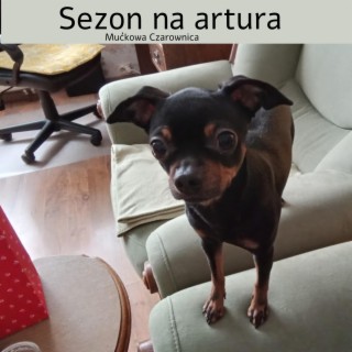 Sezon na Artura