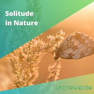 Solitude in Nature