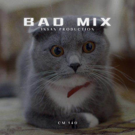 BAD MIX | DÅRLIG BLANDING | SCHLECHTE MISCHUNG | Boomplay Music