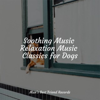 Music for Calming Dogs