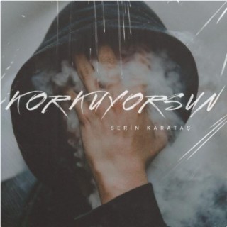 Korkuyorsun lyrics | Boomplay Music