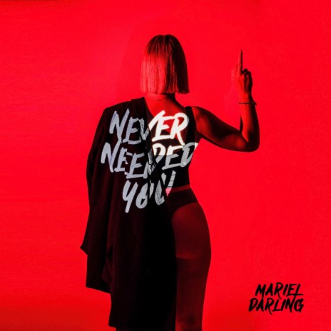Never Needed You | Boomplay Music
