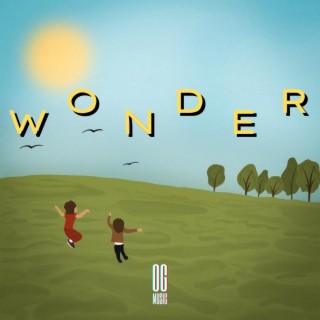 Wonder lyrics | Boomplay Music