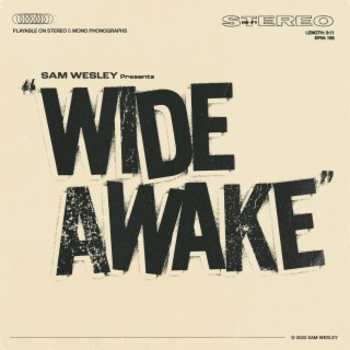 Wide Awake lyrics | Boomplay Music