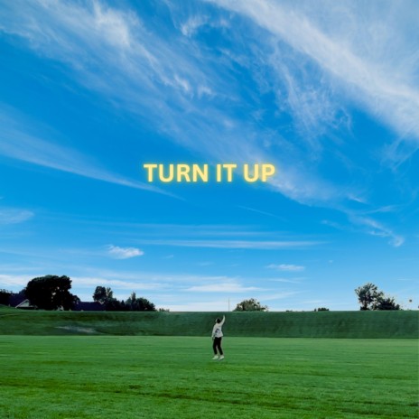 Turn It Up | Boomplay Music