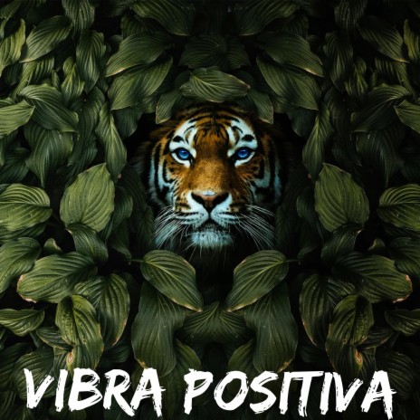 Vibra Positiva | Boomplay Music