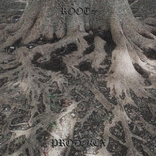 Roots