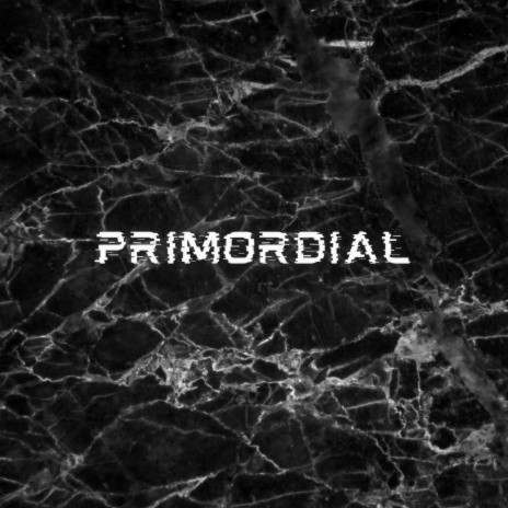 Primordial