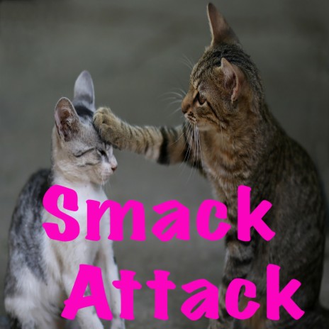 Catnip Smack Attack
