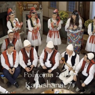 Kallushanat 7 (2019)