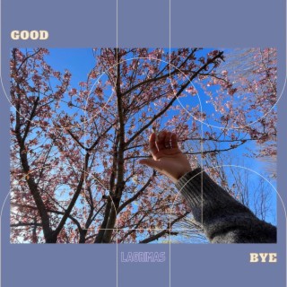 Good Bye lyrics | Boomplay Music