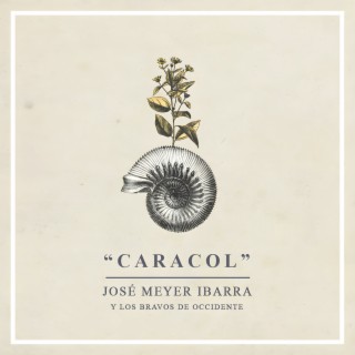 Caracol