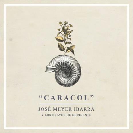 Caracol ft. Los Bravos de Occidente | Boomplay Music