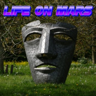 Life On Mars (Flowcase Wildcard)