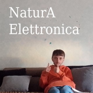 NaturA Elettronica